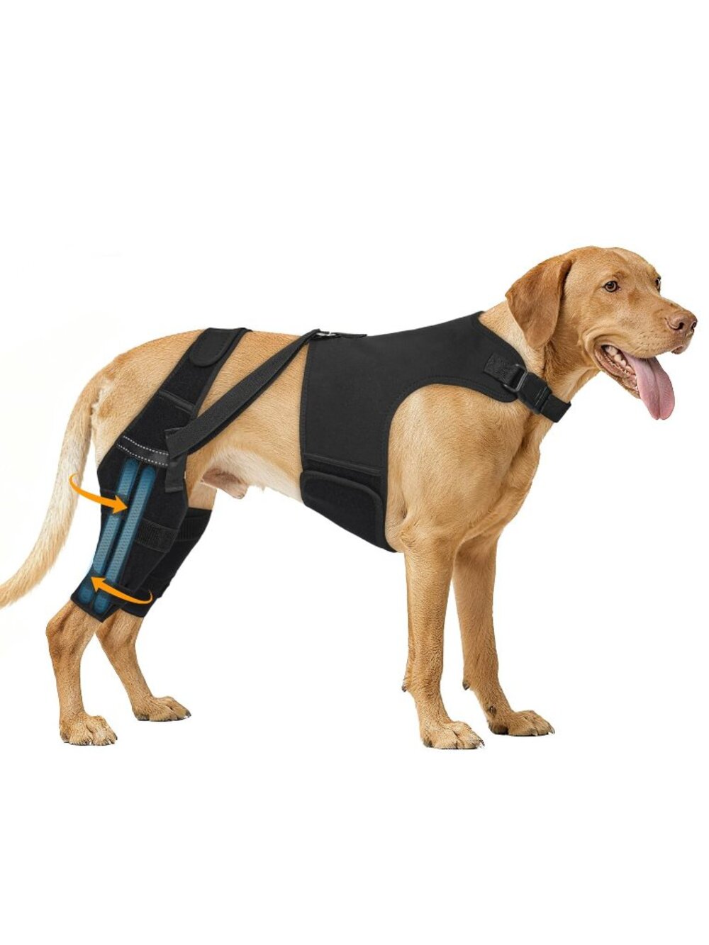 Marnonsis XXL  Dog Knee Brace Torn Acl Hind Leg /Back Adj.4 Stabilizers